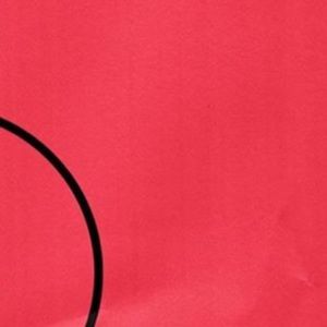 Meet your Posher, Barrett